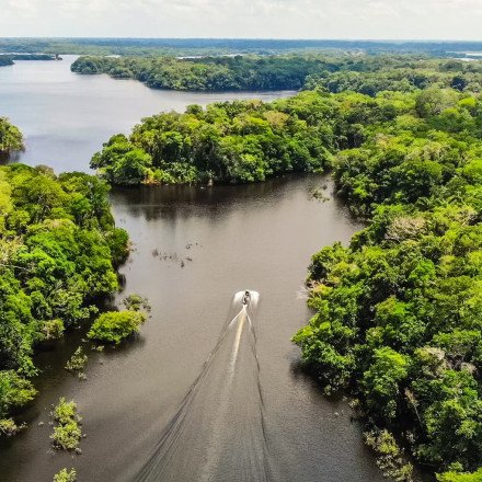 Canoagem pelos Rios, Igarapés e Igapós