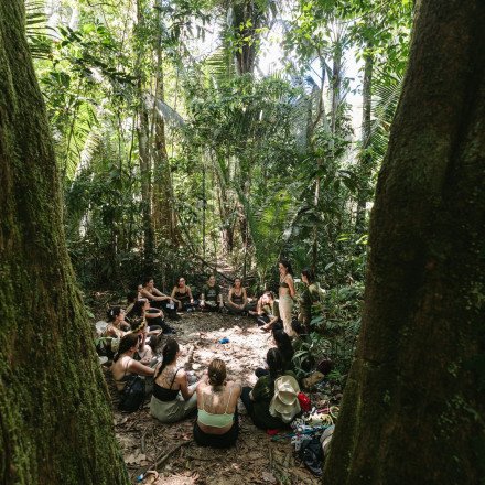 Imersão na floresta