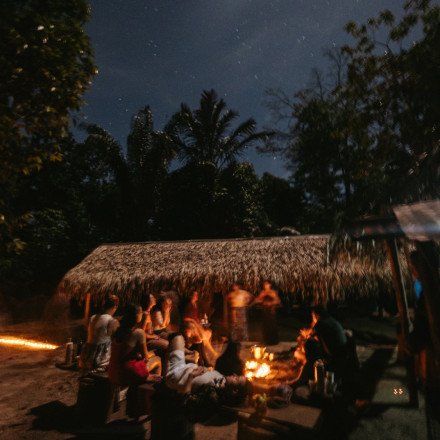 Uma noite na selva